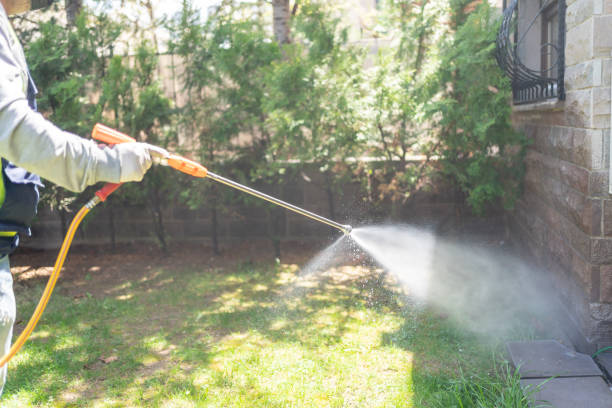 Bird Control in Creswell, OR